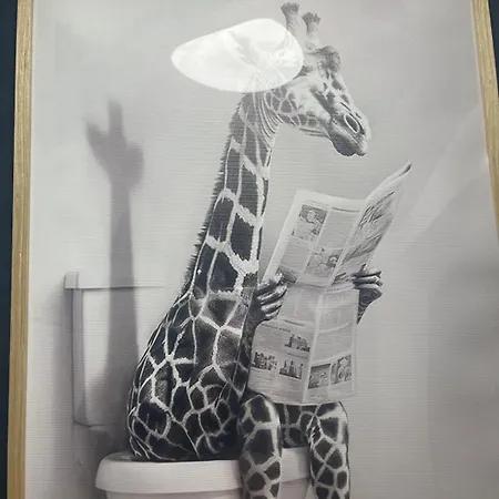 Bel Centre Gare شقة